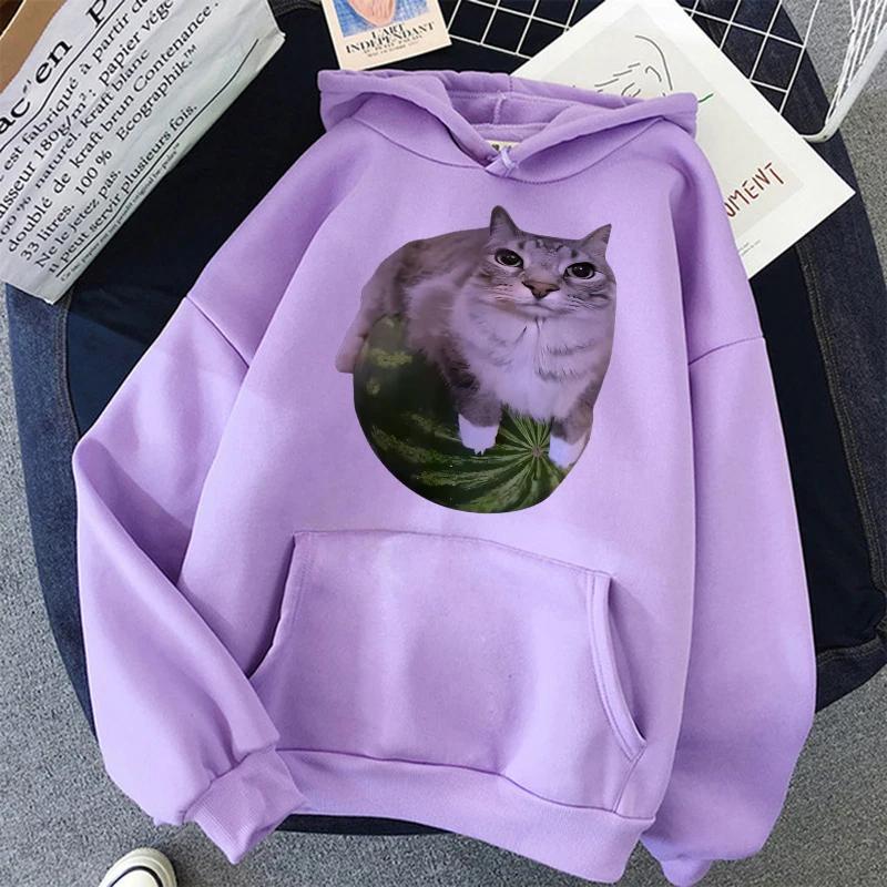 

Cute Watermelon Cat Silly Cat Meme Printed Hoodies 90s Casual Sweatshirts Graphic Y2k Hooded Women s Gothic Streetwear Clothes 6XL