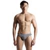 Men's Striped Triangle Swim Trunks - Fashionable Adult Swimsuit S3925