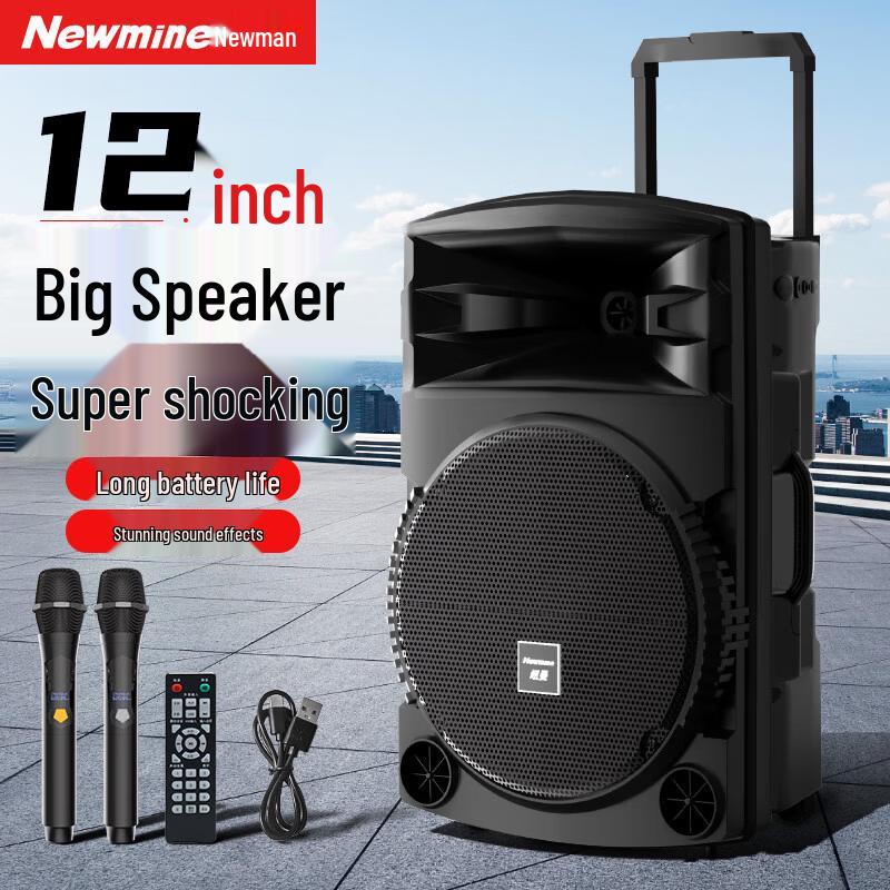 Newman N521 Portable Bluetooth Trolley Speaker CN plug (adapter included)