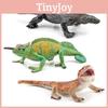 Vibrant Desert Forest Animal Chameleon Lizard Plastic Model Perfect For Display 92g