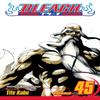 Bleach Vol. 45 by Tite Kubo Paperback Book 9781421542980