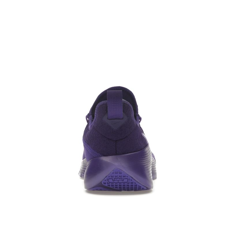Nike LeBron TR 1 Purple Rain Unisex Sneakers Court-Purple Action-Grape FJ6151-500