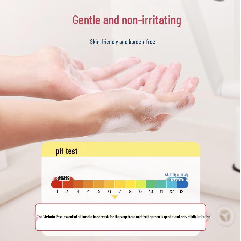 Shu Guo Yuan Victoria Rose Foaming Hand Soap 500ml