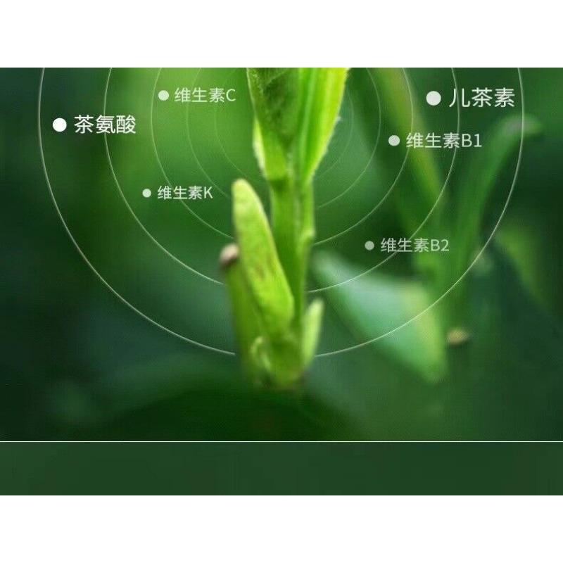 300g Fuding White Tea White Peony Tribute Eyebrow Shoumei Flower Fragrance