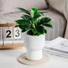 Self-absorbing Flowerpot with Cotton Rope Planter Double-layer Breathable Structure And Water Storage Tank Flower Pot for Indoor Plants