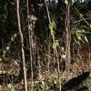 Kylebooker Camouflage Hiking Cradle Clothing