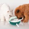 Distribuitor Lapte Animal de Companie Bol Hrănire Câini Pisici pentru Fătare Animale Mici 4 Tetine