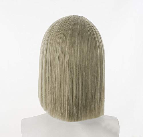 Kasumi Nakasu Cosplay Wig with Net, Brown Gray, Heat-Resistant