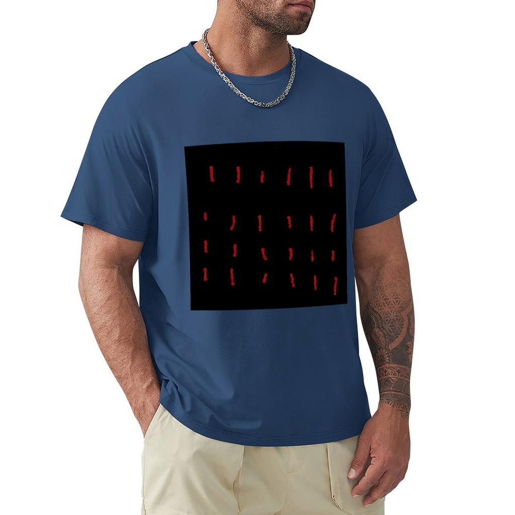 Strokes of Incarceration Album Artwork T-Shirt anime t shirts plus sizes street wear graphic t shirts graphic shirts men