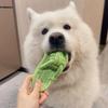 Handmade Braided Cotton Rope Dog Toy Slipper for Small Puppies Chew Resistant Dental Cleaning Teeth Healths Playing Fun