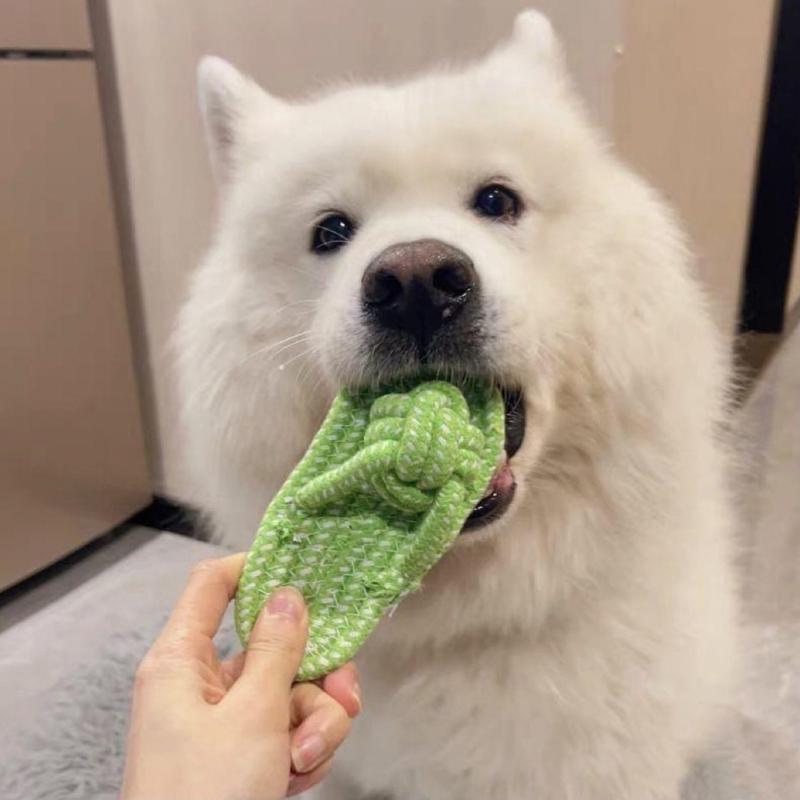 Handmade Braided Cotton Rope Dog Toy Slipper for Small Puppies Chew Resistant Dental Cleaning Teeth Healths Playing Fun