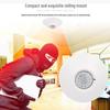 Ceiling Infrared Motion Sensor Dual-Element Wired Indoor Anti-Theft Alarm