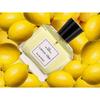 Be Gentle Lemon Vibe For Men & Women, 100ml I Eau De Parfum I Luxury Long Lasting Premium Perfume