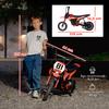 Electric Motorcycle for Children, 24 V, 250 W, Speed 6.4-16 km/h, Ages 8-12, Red