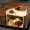 Einsiedlerkrebs Versteck Futterschale Kombi 2-in-1 Höhle Unterschlupf Futterbecken Versteck und Futterspender mit Kletterzubehör Zwei Näpfe Strukturierte Rampe Beobachtung