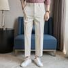 Loose Drape Men's Straight Trousers Versatile Business Youth Men's Trousers Trousers