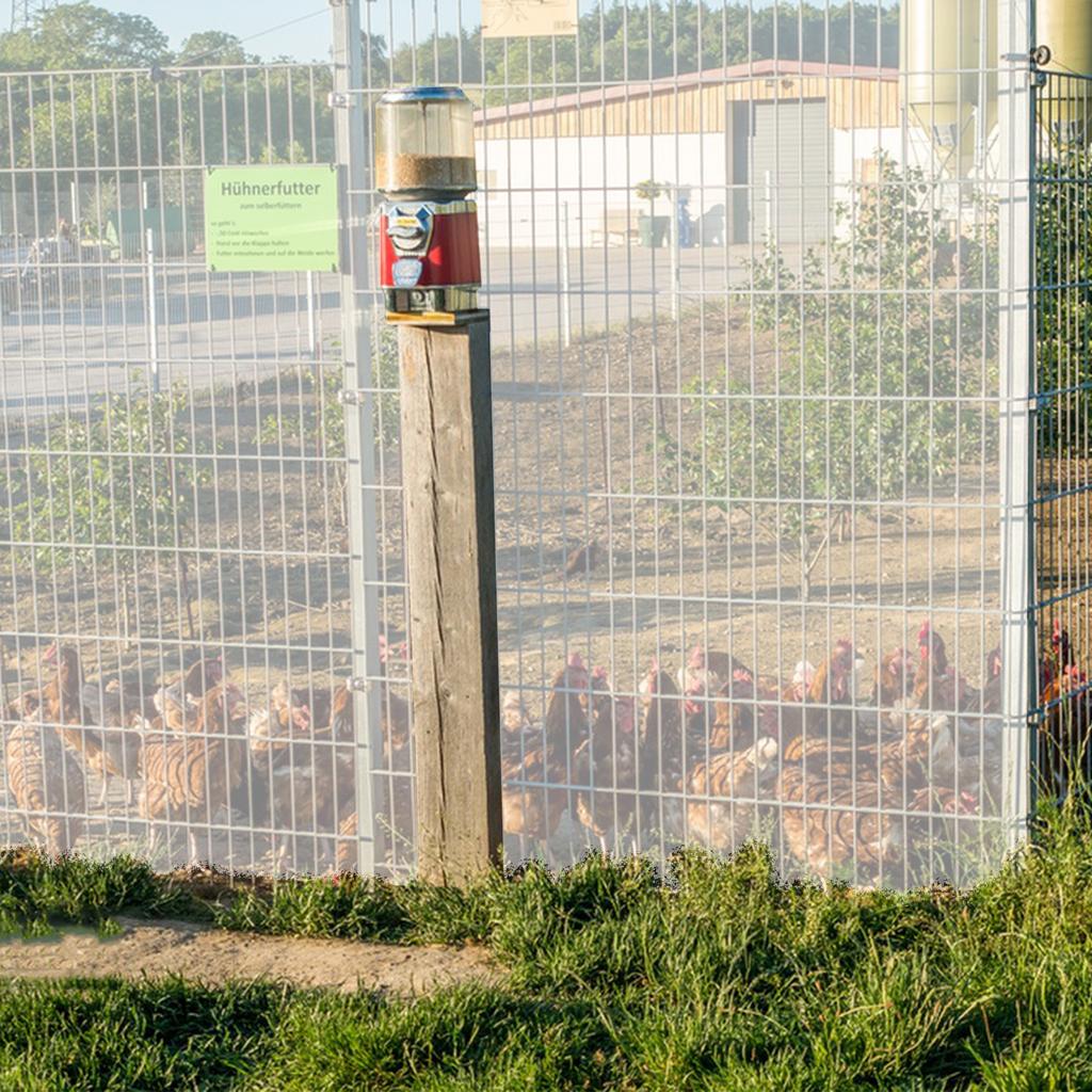 Wasserdichte Klarsichtplane mit Ösen, strapazierfähige Kunststoff-Abdeckung für den Außenbereich, Garten, Regenschutz für Terrassenüberdachung
