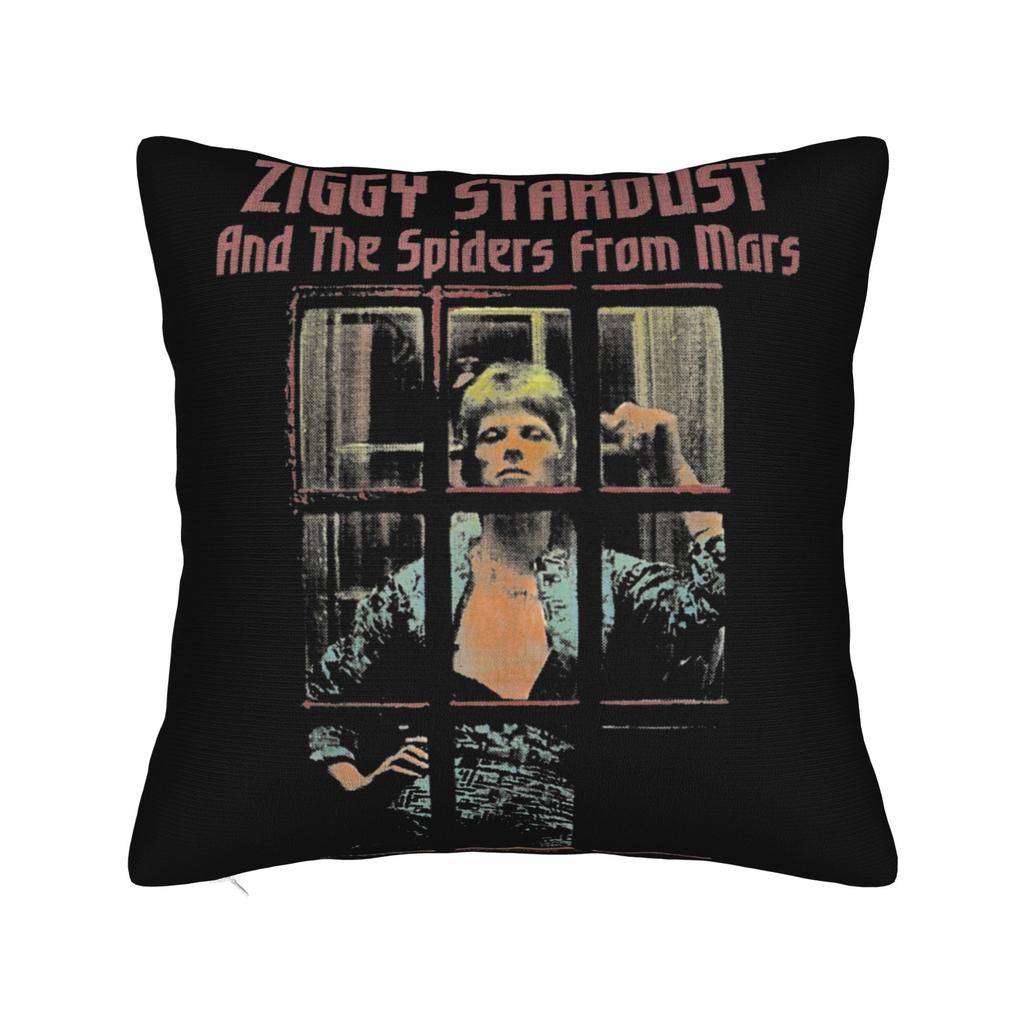Warm Bedroom Cool Davids Star Bowied Singer Decor Pillowcases Merch  Pillow Covers Zippered Multi-Size