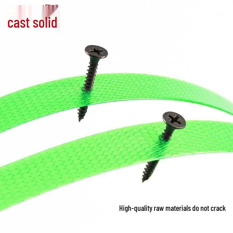 ZhuGuo PET Plastic Steel Packing Strap