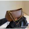Foreign style chain small bag women's 2025 new autumn and winter fashion trendy messenger bag niche design texture shoulder women's bag