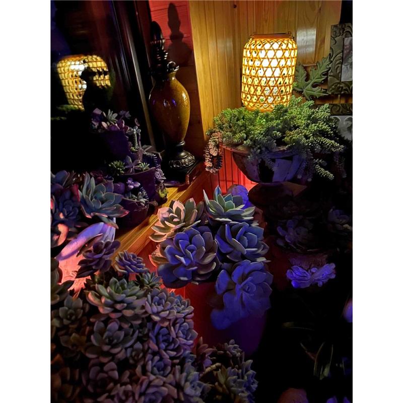 Garden Balcony Decorative Ambient Lighting