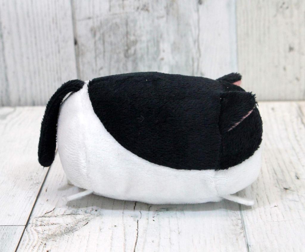 Shinada Nokkete Nyanko (Hachiware) Plüschtier, 7 x 10 x 6 cm, Tier-Merchandise, NKNK-0068H