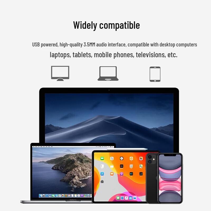 Philips SPA20 USB Multimedia Speaker