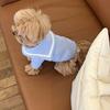 Soft Teddy Vest Autumn Pet Clothes Small Dog Cat Warm Bottoming Shirt Poodle Sailor Collar Pullover Dog Stuff