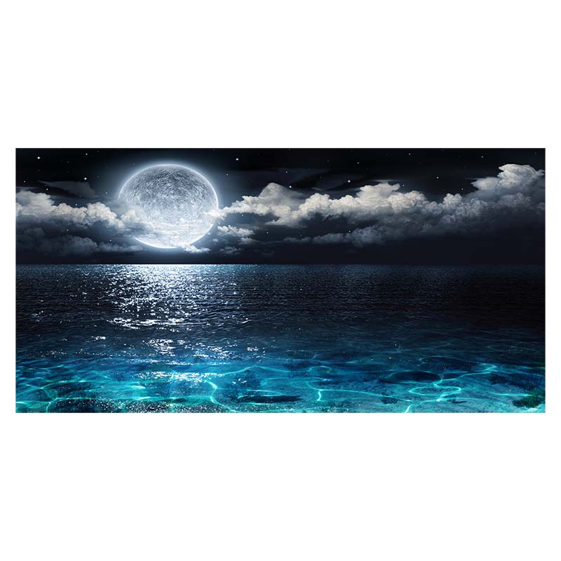 

Лунная ночь, холст, картина, пейзаж, постер и принты, морской пейзаж, настенные художественные картины для гостиной, украшение для дома, Cuadros, безрамное 50x100cm