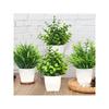 1PCS Artificial Potted Plant Scene Desktop Home Office Shelf Decor Tabletop Landscape Bonsai Wedding Room Party Accessories Vine