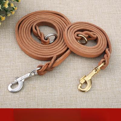 Köpek – Köpek Tasmaları ve Tasma Kayışları