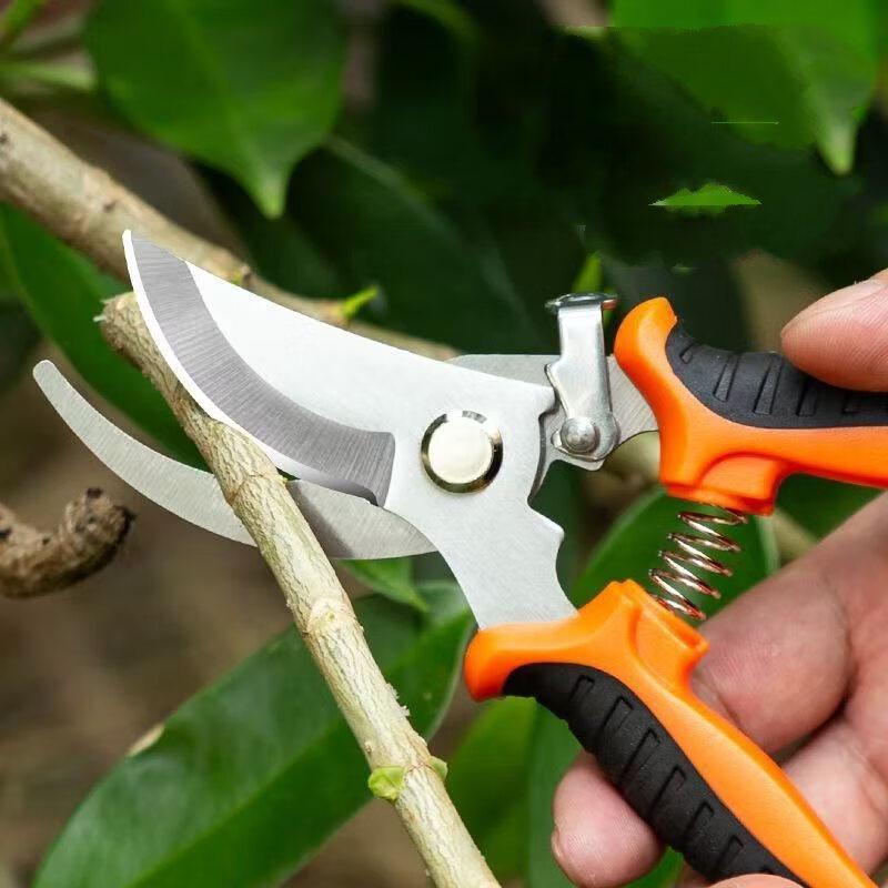 ZISIZ Multi-purpose Gardening and Floral Shears