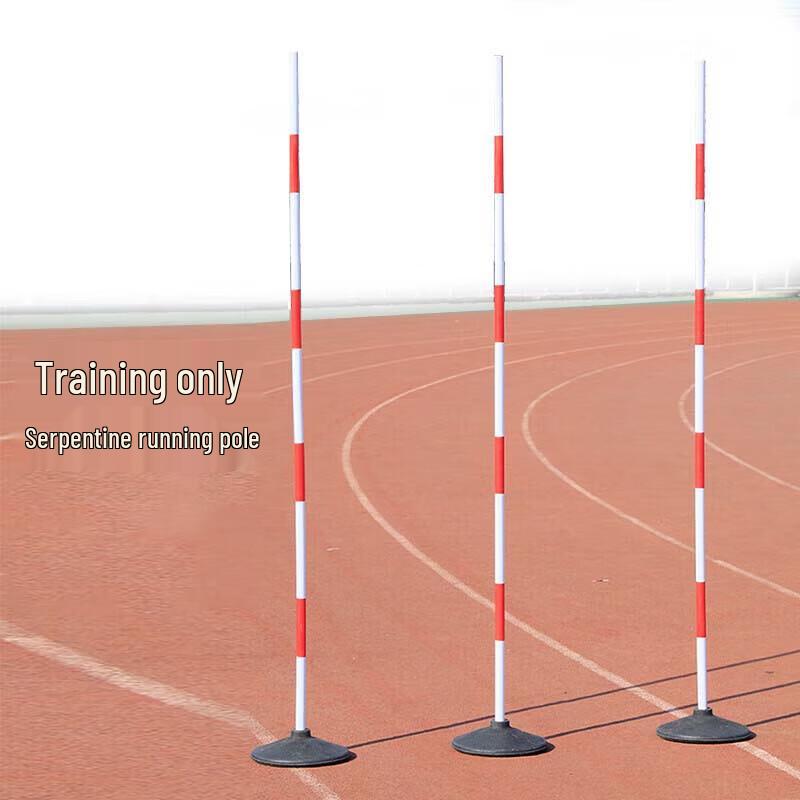 Serpentine Running Pole Training Set