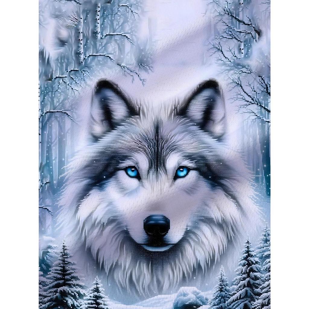 New Snowwolf print comfortable casual boys' round neck short sleeved T-shirt and shorts set for outdoor wear