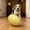 Jouets de Dentition pour Chiens avec Picots Nettoyage des Dents Boule Jouet Ballon de Rugby Résistant aux Morsures avec Son Interactif pour Chiens Petits Moyens Grands Santé Dentaire et