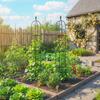 Garden Trellis 2 Pack 174 Cm Obelisk Plant Support Made Of Steel Removable Plant Stake For Climbing Plants Rose