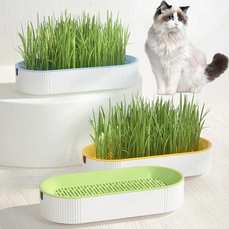 Hydroponic Cat Grass Box Cat Treats Catnip Hydroponic Soilless Planting Cat Grass Pot Set for Easy Growth Dropshipping