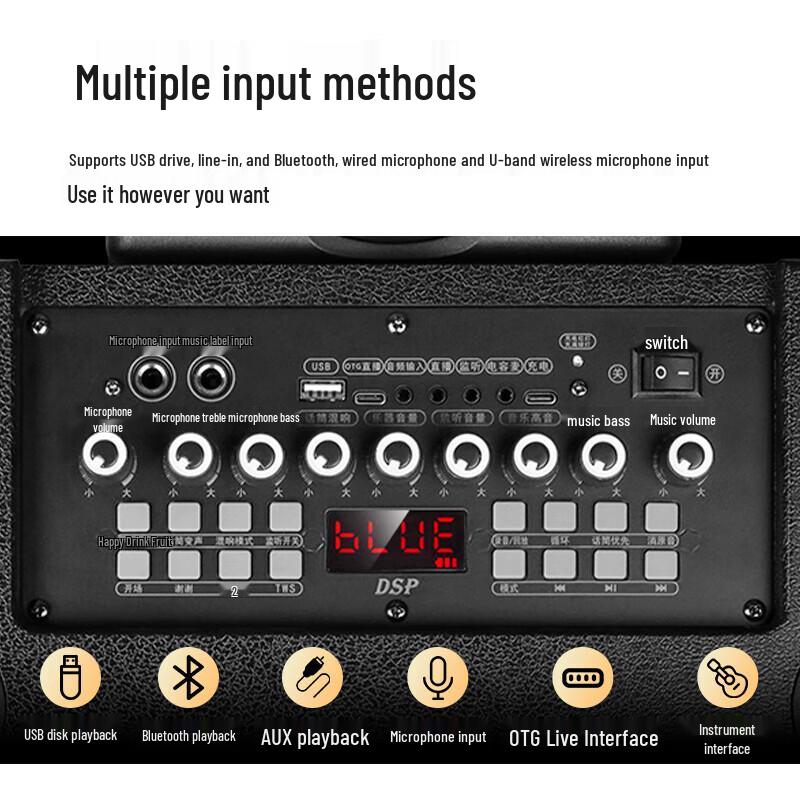 Philips SD170PRO 12-inch Portable Bluetooth Karaoke Speaker CN plug (adapter included)