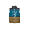 Down Vests Men's Multicolor Stand Collar Moderate Other 10017093-A01