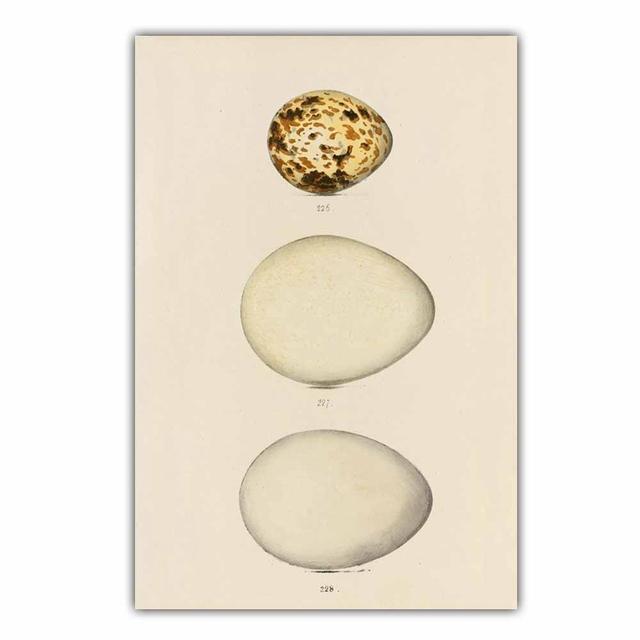 

Скандинавское ретро-искусство животное яйцо холст картина ископаемое яйцо постер офис настенная живопись гостиная спальня украшение дома фреска без рамки 21*30cm No Frame