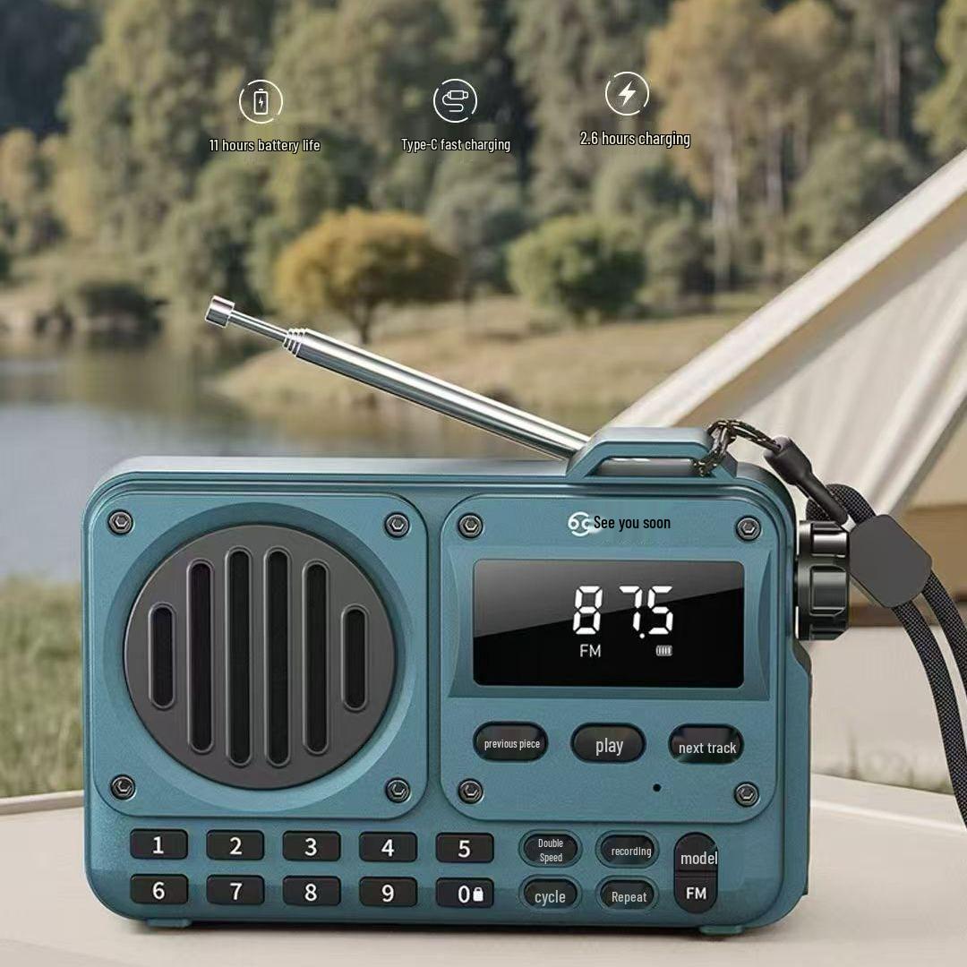 

Bujianbusan BV800P Elderly-Friendly Radio: Portable with Card Slot & Bluetooth Speaker Dawn Gold