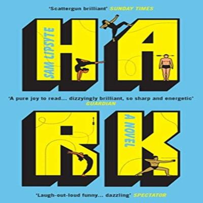 Hark by Sam Lipsyte Paperback Book 9781783783236