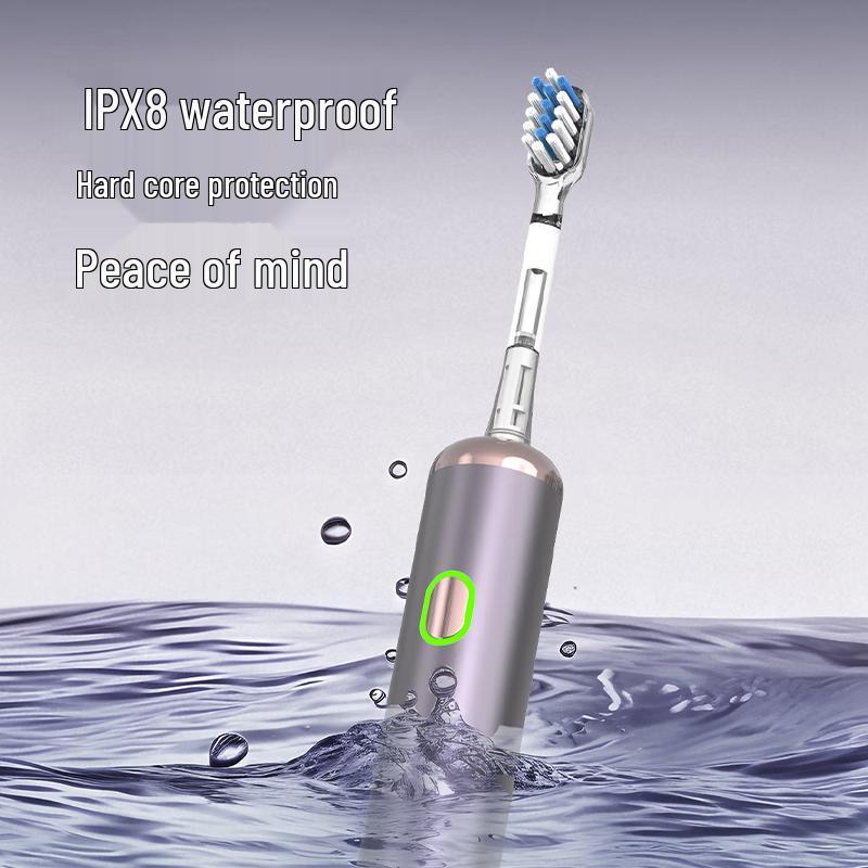 Bo Hao LS-1 Rechargeable Sonic Electric Toothbrush