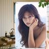 D Flat Pc Retro Sign Metal Logo (InIn Cm) Elegant Woman Portrait Art Painting Modern Home Decor Wall Art Creative W