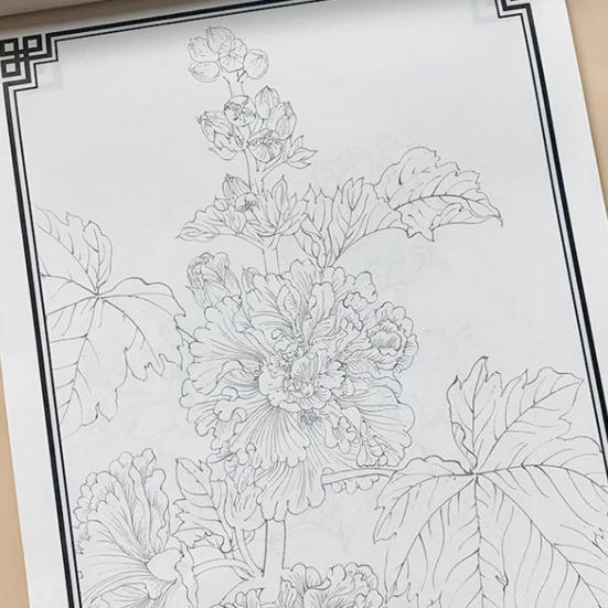 45663 Pcs Chinese Painting White Drawing Copying Album Beginner Line Drawing Copybook Chinese Calligraphy Paper Book Chinese Characters Tracing