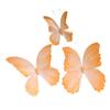 3D Painted Butterfly Wedding Backdrop with Scenery and Props for Photography and Décor