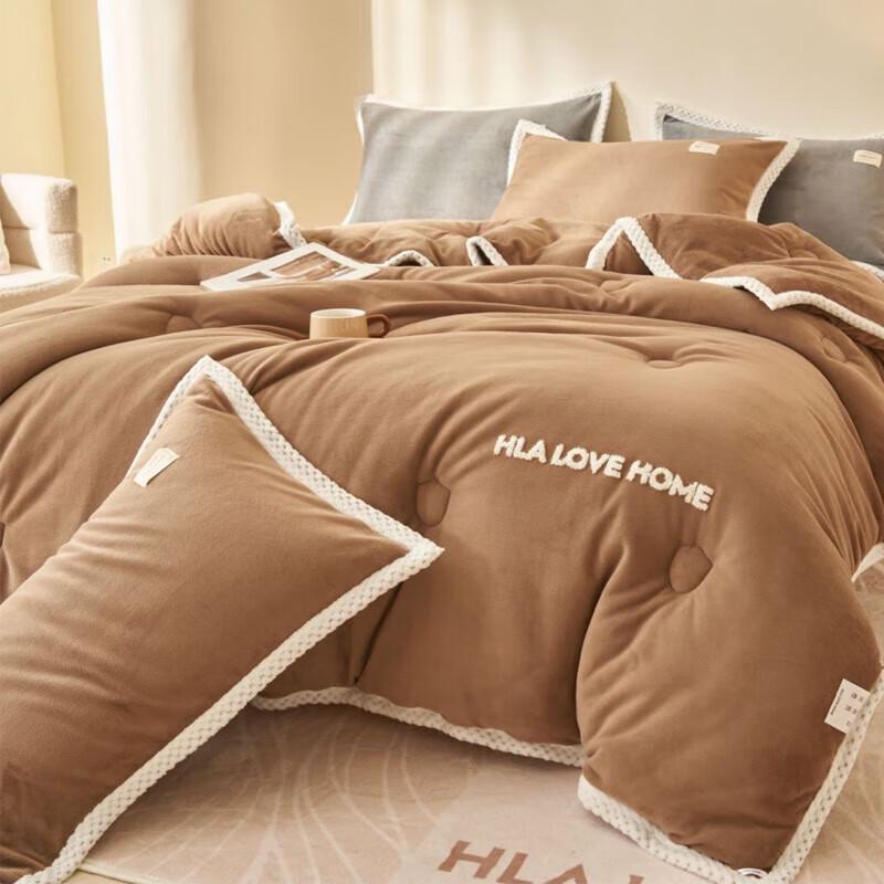 Hotsun Home Milk Velvet Winter Quilt