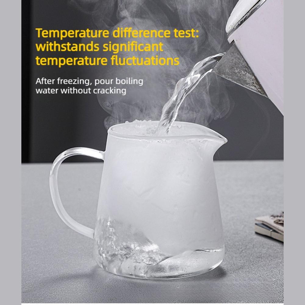 Induction Compatible Glass Teapot 1 Pc Heat Resistant Borosilicate With Stainless Steel Infuser For Daily Kung Fu Tea Brewing