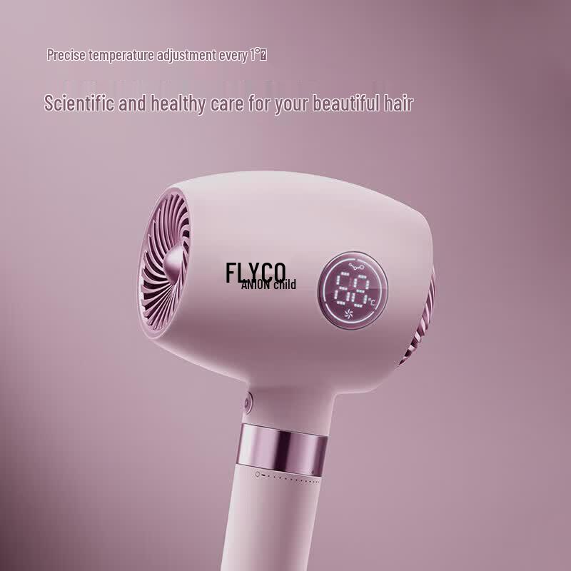 FLYCO FH6368 Smart Negative Ion Hair Dryer CN plug (adapter included)