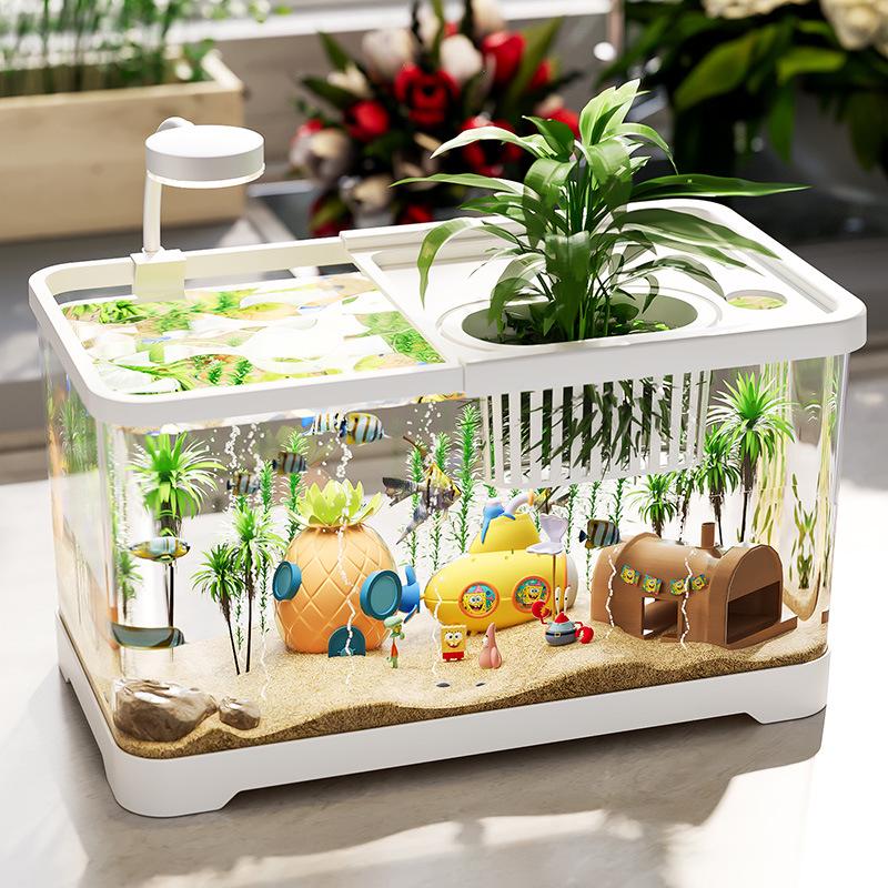 Acvariu cu Capac - Acvariu Transparent de Birou pentru Pești Aurii și Broaște Țestoase, Perfect pentru Decorul Casei sau al Camerei de Zi.